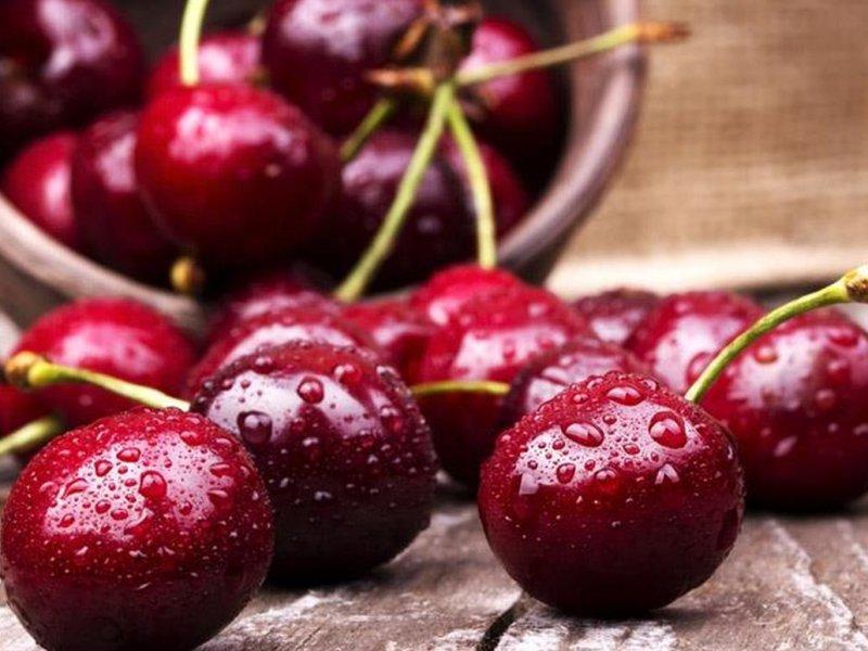 Вишня купить саженцы из питомника в Бугуруслане