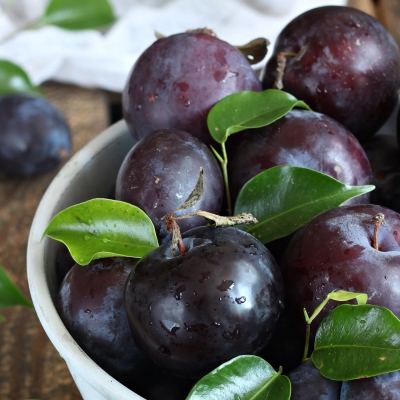 Слива "ЧЕМАЛЬСКАЯ ЧЕРНАЯ"
